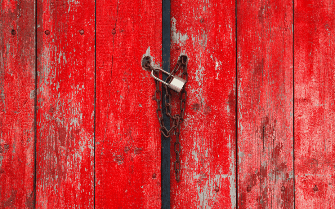 UP|DATE Dezember 2025